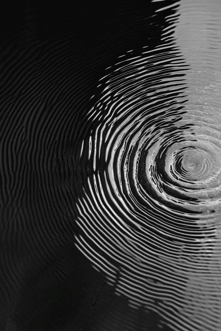 Ripples spreading across dark water